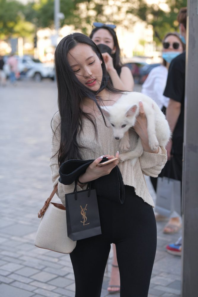 抱着小狗的漂亮女孩 J2106 136P-3.25GB-学姐图库